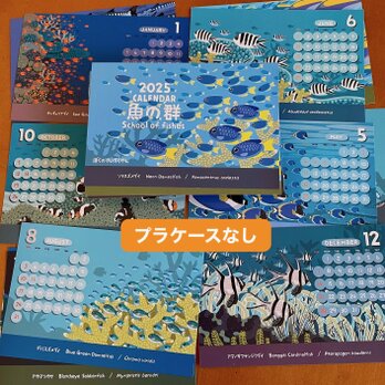 2025魚の群カレンダー（エコパック）の画像
