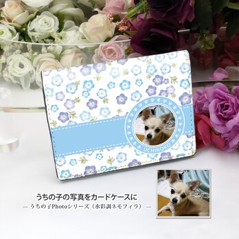 うちの子の写真で作る 定期入れ/パス入れ/名刺入れ  カードケース（水彩調ネモフィラ）の画像