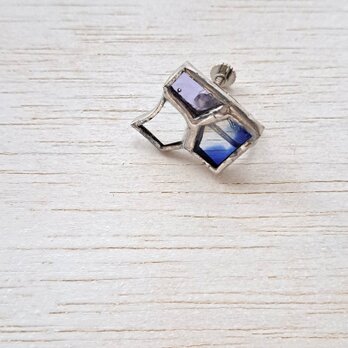 I live with my cat/earring 07の画像