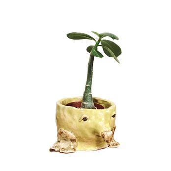モグラの植木鉢 手びねり陶芸 mmmmadepotteryの画像
