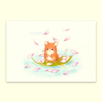 ポストカード 和言葉『花筏』２枚入の画像
