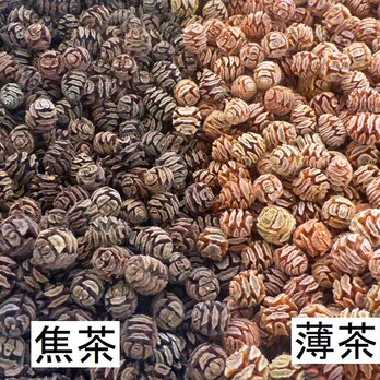メタセコイアの実（焦茶）　40個の画像