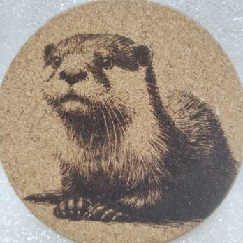 コースター　カワウソの画像