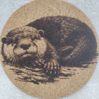 コースター　カワウソの画像