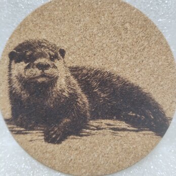 コースター　カワウソの画像
