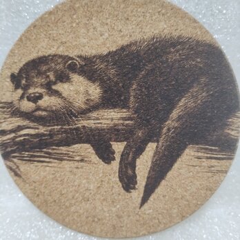 コースター　カワウソの画像