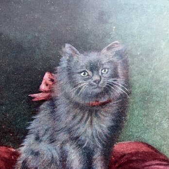 アンティーク　ポストカード　ボルドーリボンの猫の画像