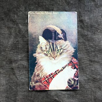 アンティーク　ポストカード　アイルランド衣装のハンサム猫の画像