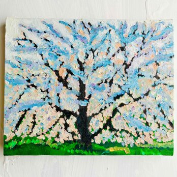 22×27㎝「朝の桜３」油彩・原画・F3の画像