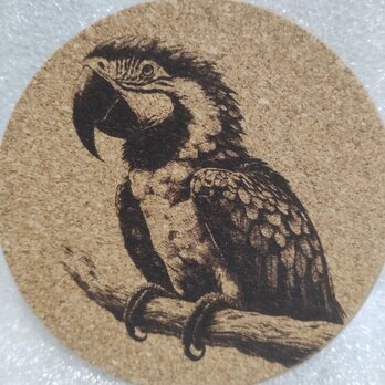 コースター　コンゴウインコの画像
