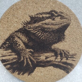 コースター　フトアゴヒゲトカゲの画像