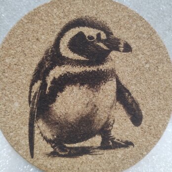 コースター　ペンギンの画像