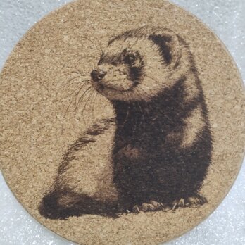 コースター　フェレットの画像