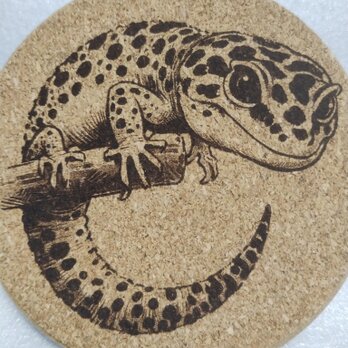 コースター　ヒョウモントカゲモドキの画像