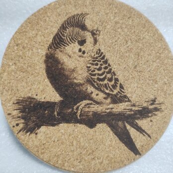 コースター　セキセイインコの画像