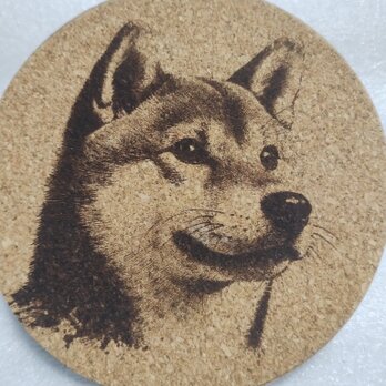 コースター　柴犬の画像