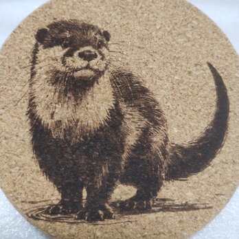 コースター　カワウソの画像