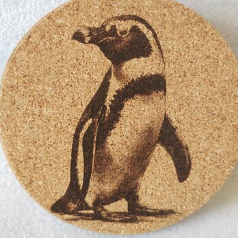 コースター　ペンギンの画像