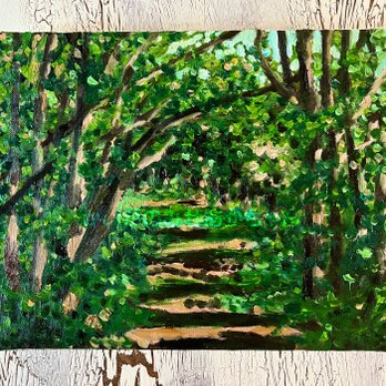 22×27㎝「森の散歩道」油彩・原画・F3の画像