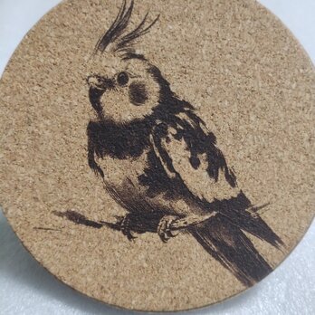コースター　オカメインコの画像
