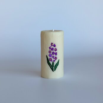Hyacinth - Purpleの画像