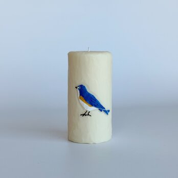 Birdの画像