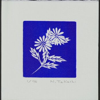 野菊/刷色：紺色/銅版画(作品のみ）の画像