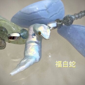 福白蛇（ふくびゃくだ）の画像