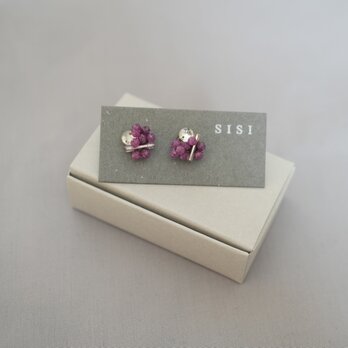 puchipuchi bijou pierce　ルビーの画像