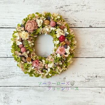 春のリース！ソーラーローズのグリーンリース