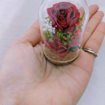 プリザーブドフラワー／ミニガラスドーム赤いミニ薔薇のミニギフトの画像