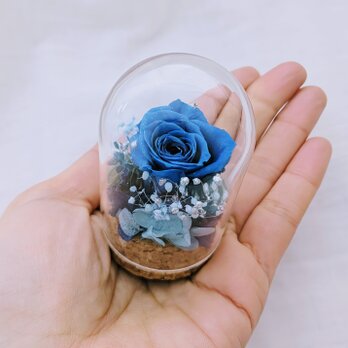 プリザーブドフラワー／ミニガラスドーム青いミニ薔薇のミニギフトの画像