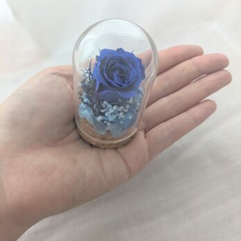 プリザーブドフラワー／ミニガラスドーム青いミニ薔薇のミニギフトの画像