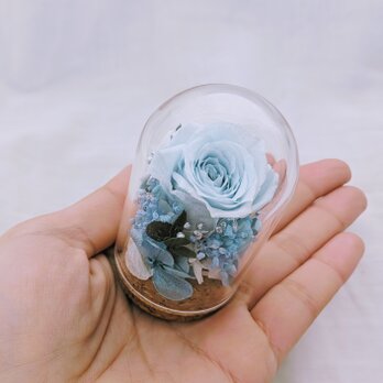 プリザーブドフラワー／ミニガラスドー厶ベビーブルーのミニ薔薇のミニギフトの画像