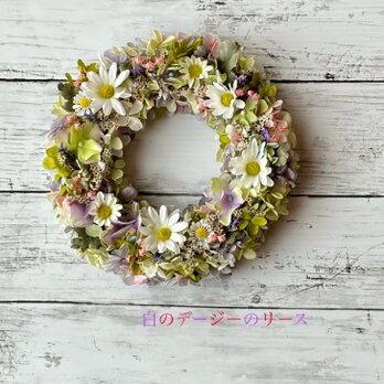 春のリース！白のデージーのリースの画像