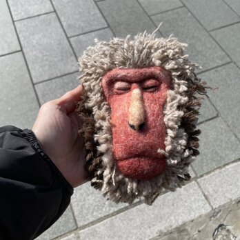 ニホンザルの顔の壁掛けの画像
