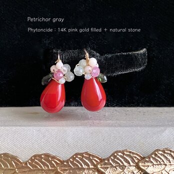 Phytoncide：赤い実の耳飾り 　　 ［ Red coral earrings ］の画像