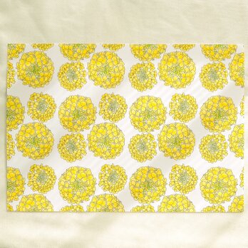 菜の花　ビビット　ポストカード　2枚入の画像