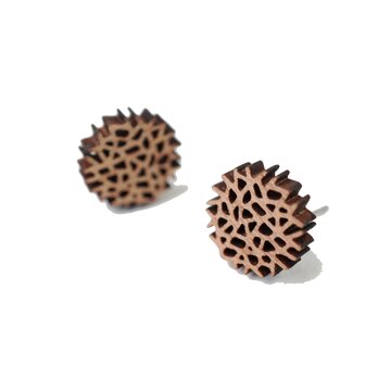 【木ｔｃｈ】クルミの木・ピアス（ミニ）twig / 小枝ーの画像