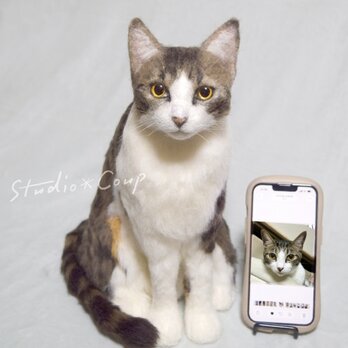 うちの子 羊毛フェルトでお作りします お写真から大切なペットさんをでリアルにお作りします