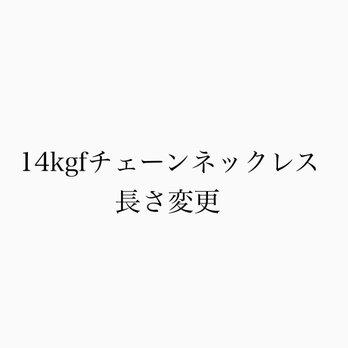 14kgf ネックレス 長さ変更可能の画像