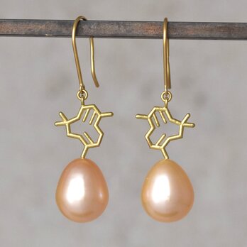 k18YG ビールのホップの香り化学式®ピアス　-Beer Hops Scent Earrings-の画像