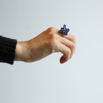 Ruri Star Ringの画像