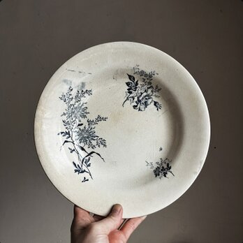 フランス　アンティーク　深皿　菊と野ばら　テール・ド・フェールの画像