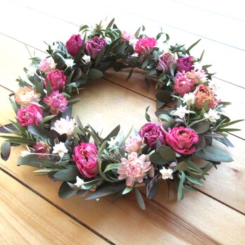 厳寒の薔薇の画像