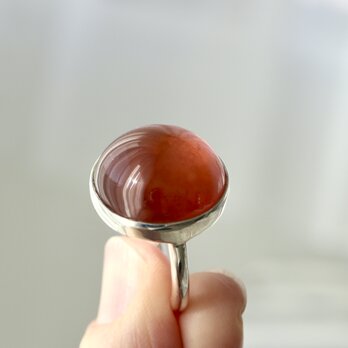 [ザクロワインのgarnet]ringの画像