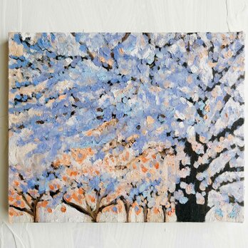 22×27㎝「朝の桜　2025.1-1」油彩・原画・F3の画像