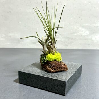プランター台（小）ブラック　セラミックタイル製の画像