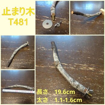 止まり木（枝：TOY-08-015）T481の画像