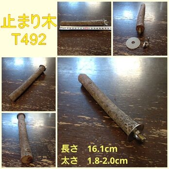 止まり木（枝：TOY-08-015）T492の画像